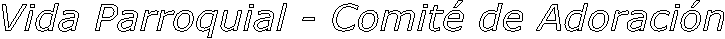 Vida Parroquial - Comit� de Adoraci�n