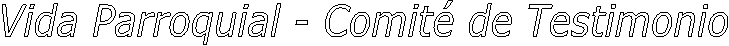 Vida Parroquial - Comit� de Testimonio